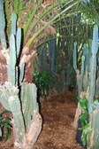 Enlarge photo 26