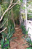 Enlarge photo 29