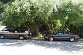 Enlarge photo 32