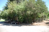 Enlarge photo 33