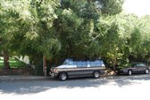 Enlarge photo 34