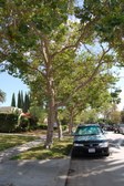 732 June Street