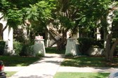 830 N. Las Palmas