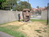 Enlarge photo 41