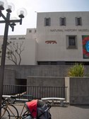 Enlarge photo 44