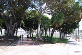 Enlarge photo 37