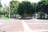 Enlarge photo 33