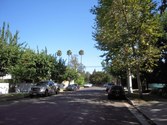 Ben Avenue
