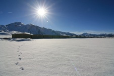 Enlarge photo 14