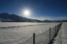 Enlarge photo 25