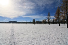 Enlarge photo 3