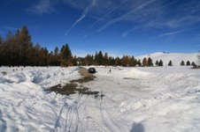 Enlarge photo 13