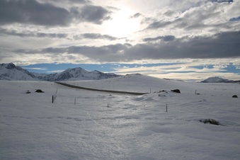 Enlarge photo 36