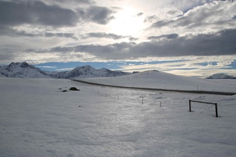 Enlarge photo 37