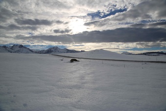 Enlarge photo 49