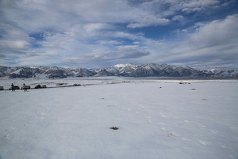 Enlarge photo 50