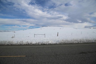 Enlarge photo 51