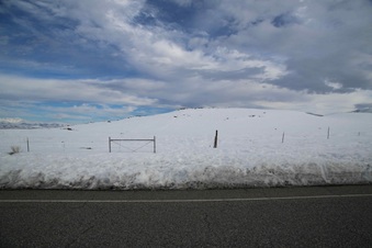 Enlarge photo 52