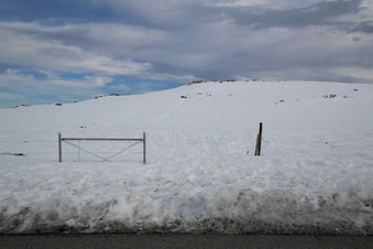 Enlarge photo 53