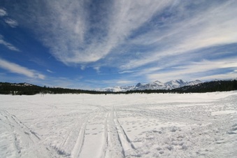 Enlarge photo 151