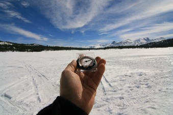 Enlarge photo 152