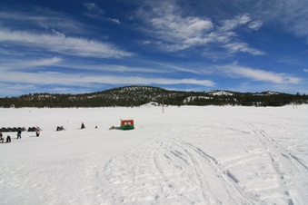Enlarge photo 153