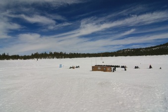 Enlarge photo 154