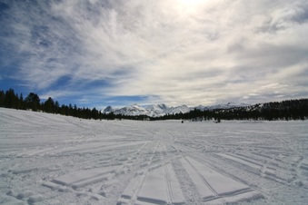 Enlarge photo 158