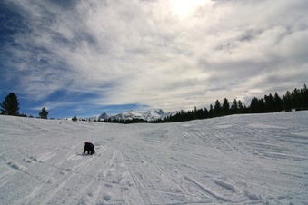 Enlarge photo 159