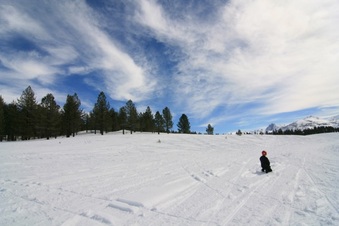 Enlarge photo 160
