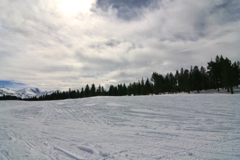 Enlarge photo 161
