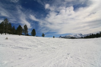 Enlarge photo 162