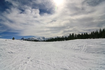 Enlarge photo 163