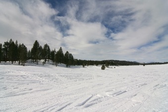 Enlarge photo 164