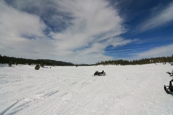 Enlarge photo 165
