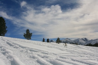 Enlarge photo 169