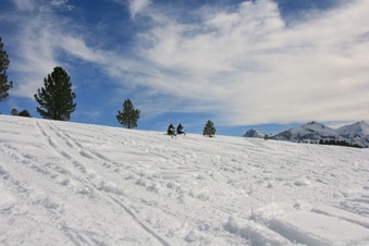 Enlarge photo 170