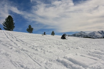 Enlarge photo 171