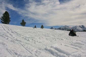 Enlarge photo 172