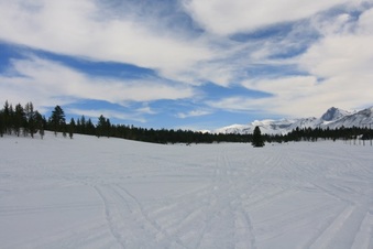 Enlarge photo 176