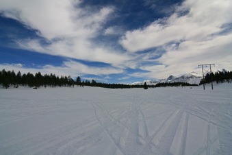 Enlarge photo 177