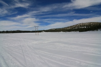 Enlarge photo 179