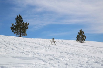 Dj's Snowmobile Adventures