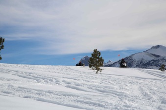 Enlarge photo 3