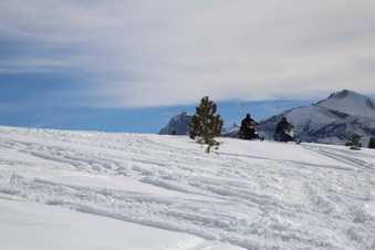 Enlarge photo 4