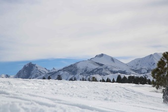 Enlarge photo 12