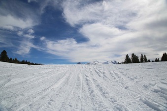 Enlarge photo 25