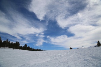 Enlarge photo 26