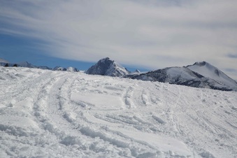 Enlarge photo 35