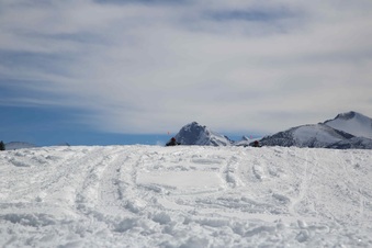 Enlarge photo 37